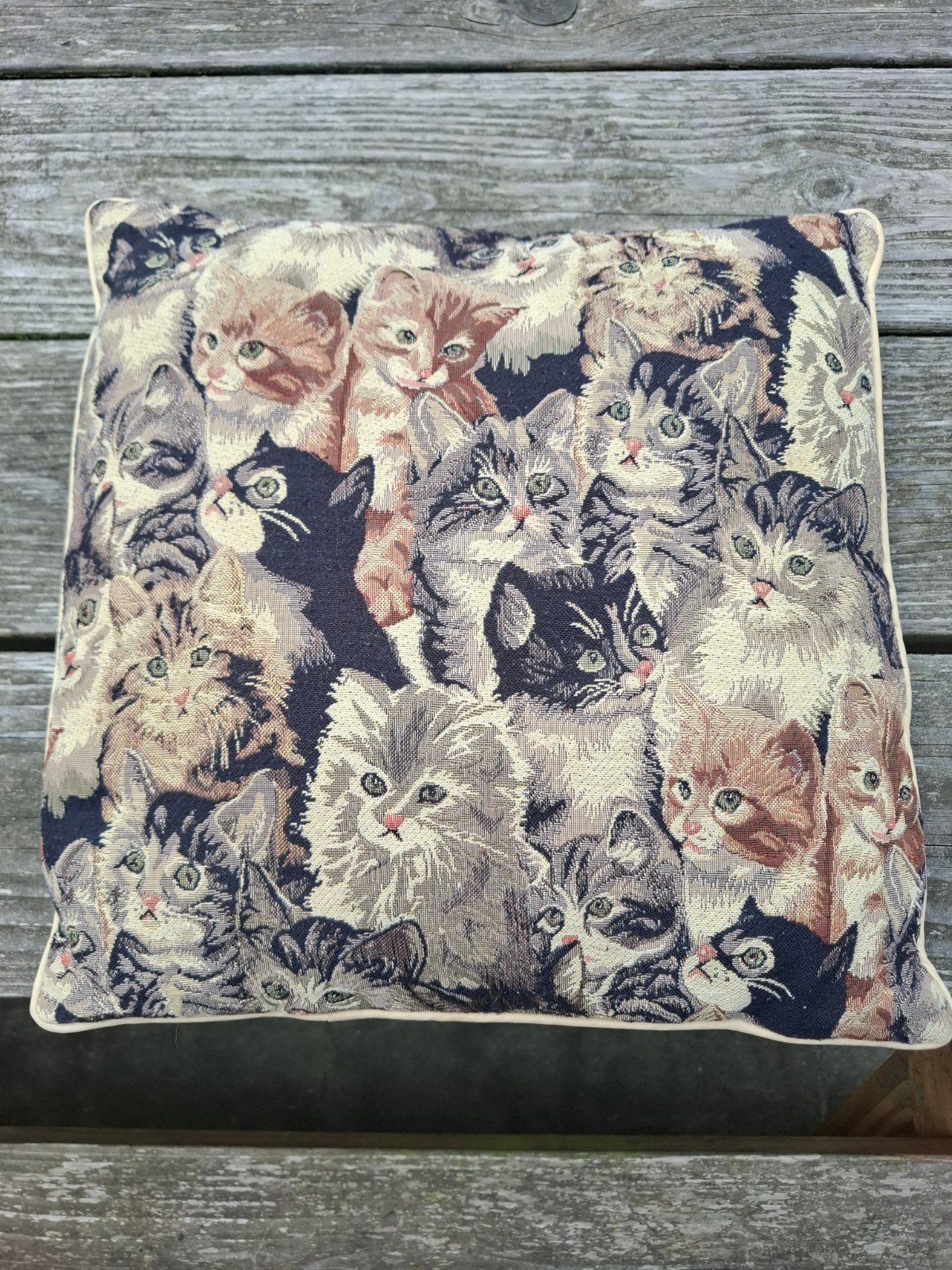 Decoratief Poezen Kussen 37x37 cm - Kattenprint, Ophalen of Verzenden