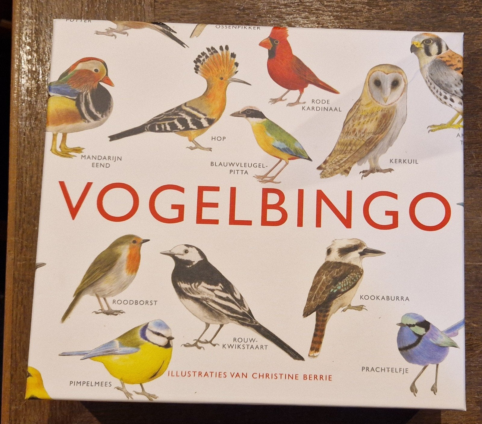 vogelbingo, Ophalen of Verzenden, Nieuw
