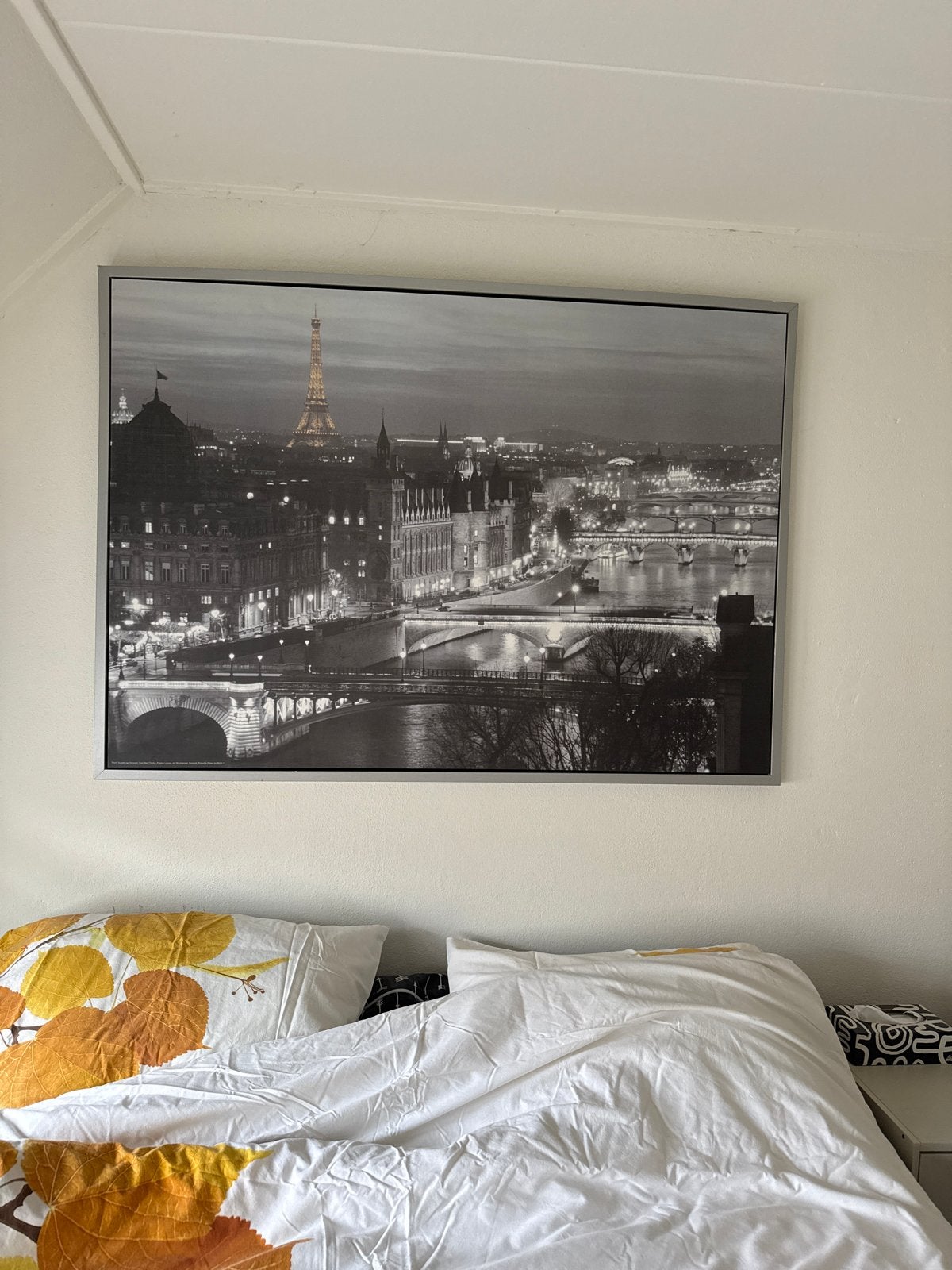 Grote zwart-wit print van Parijs met Eiffeltoren, Gebruikt, Ophalen of Verzenden, Print, 100 tot 125 cm