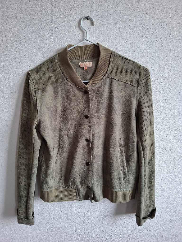 Ambika dames jasje kleur groen maat S., Kleding | Dames, Ophalen of Verzenden, Zo goed als nieuw, Maat 36 (S), Ambika