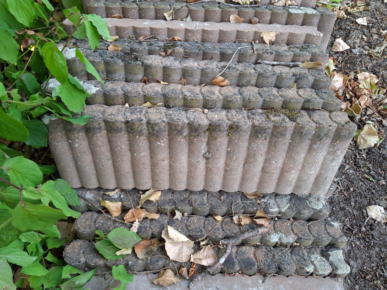 Bandjes, Gratis ophalen, Tuin en Terras, Ophalen of Verzenden, Gebruikt, Minder dan 100 cm
