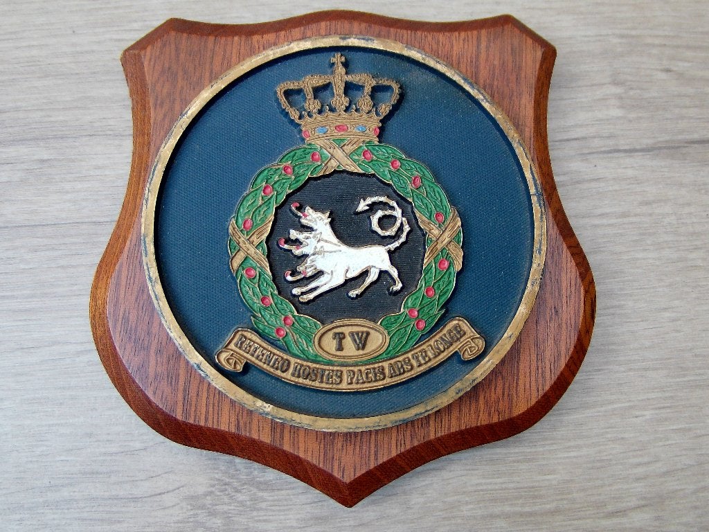 Wapenschildje Vliegbasis Twenthe rond embleem, Verzamelen, Verzenden, Luchtmacht, Nederland, Overige typen