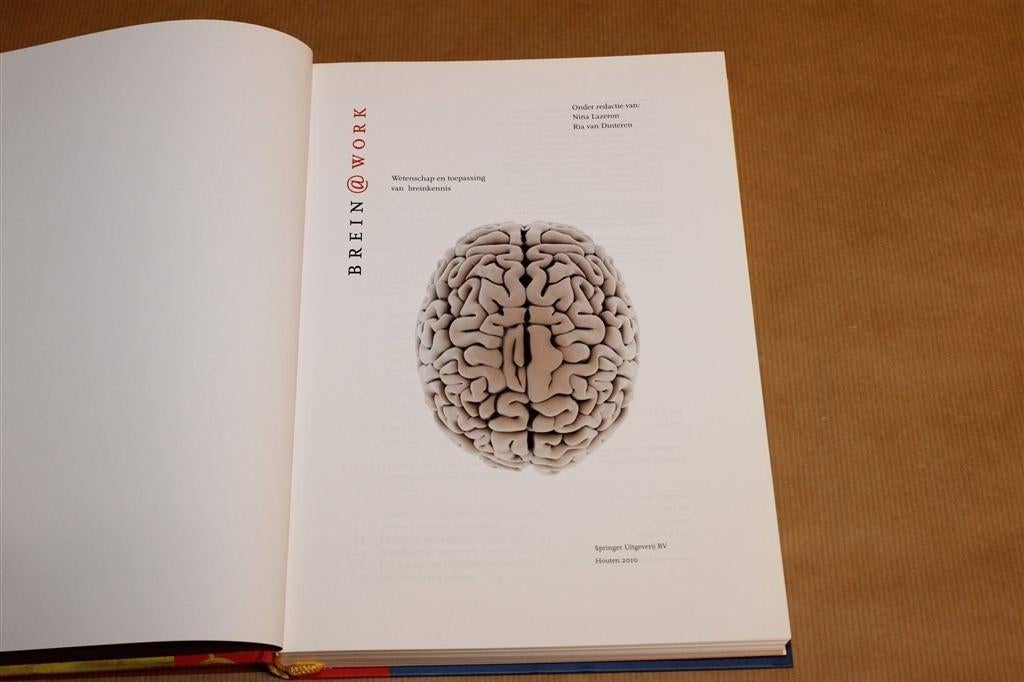 Brein[at]work — Wetenschap & Toepassing van Breinkennis, Boeken, Ophalen of Verzenden, Zo goed als nieuw