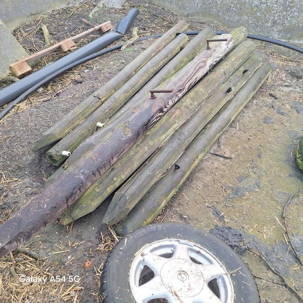 Weipalen, Dieren en Toebehoren, Weidegang