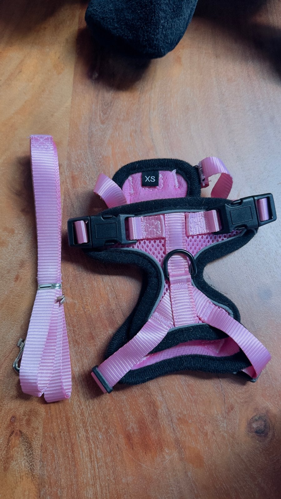 2x nieuwe Katten/kleine honden tuigjes maat xs, Dieren en Toebehoren, Kater