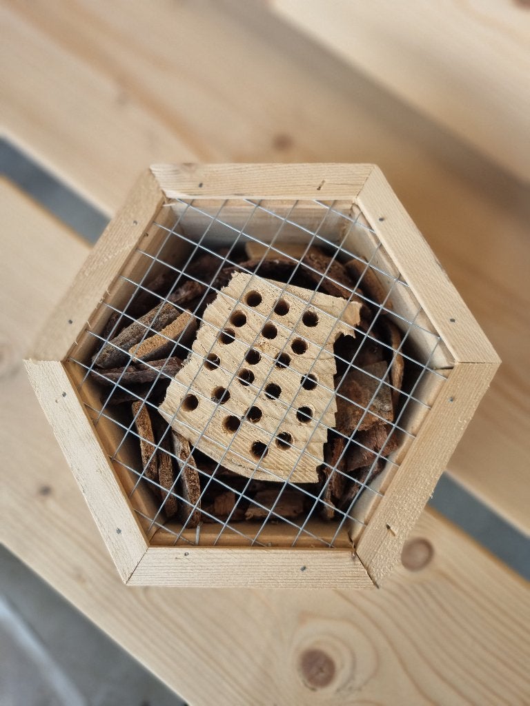 Insectenhotel kleine zeshoek - Loods66B, Overige soorten