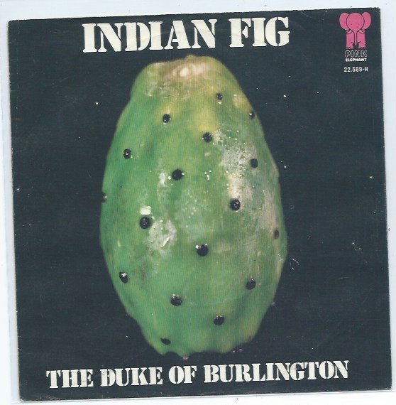 The Duke of Burlington- Indian Fig