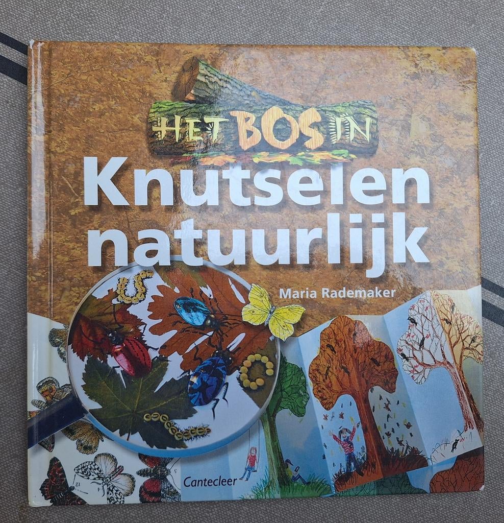 Het bos in: Knutselen natuurlijk - Maria Rademaker, Boeken, Gelezen, Maria Rademaker, Ophalen of Verzenden, Scrapbooking en Knutselen
