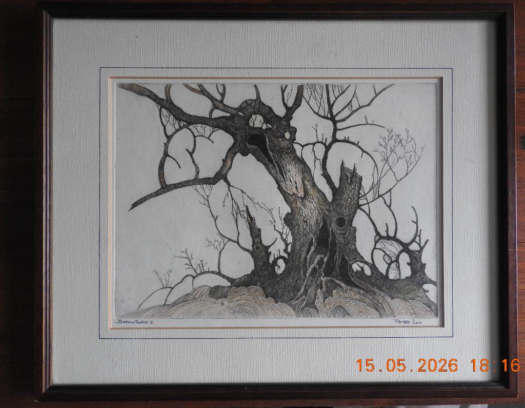 Ets Peter Cox, Ophalen of Verzenden, Met tekst, Landschap, 1950 - 1999