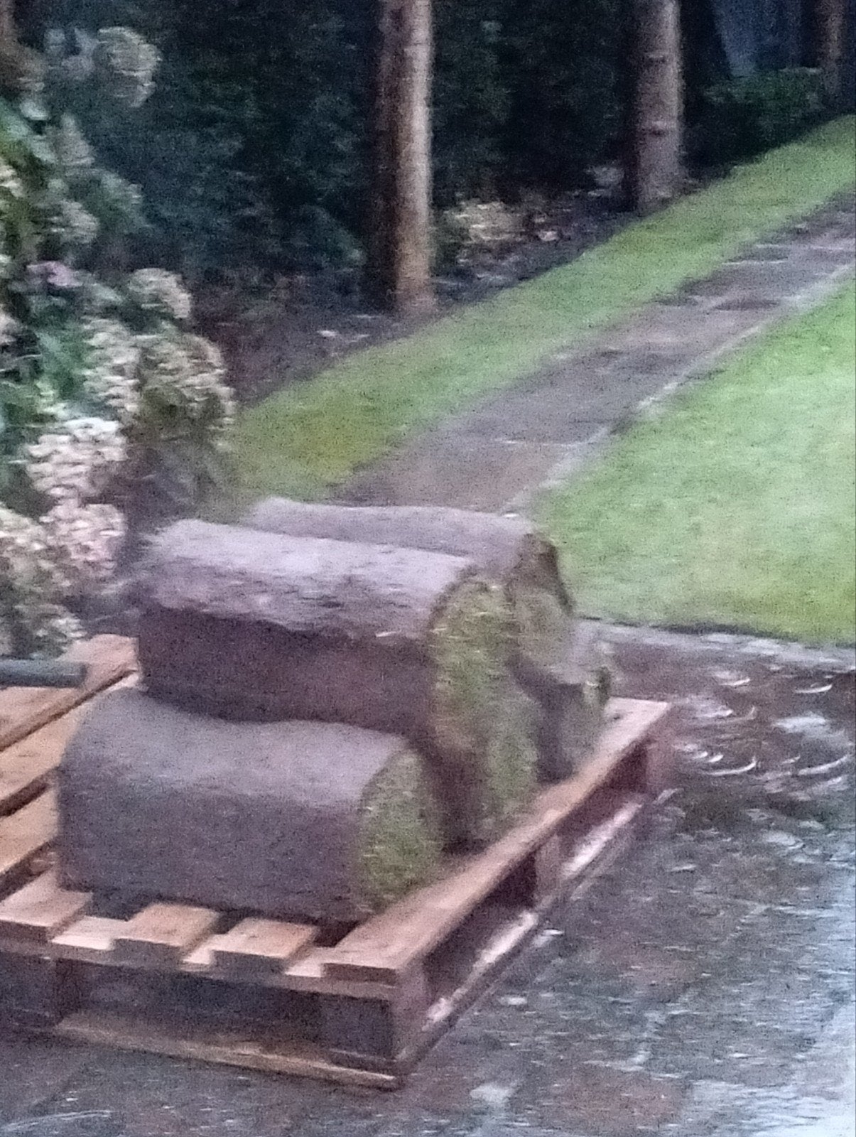 Graszoden, Tuin en Terras, Ophalen, Nieuw, Minder dan 10 m²