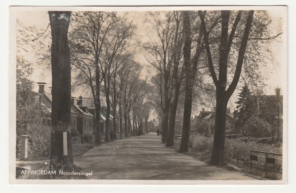 Appingedam - Noordersingel, Verzenden, 1940 tot 1960, Ongelopen, Groningen