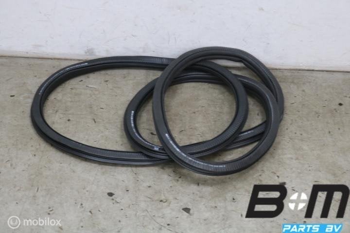 Portierrubber rechtsvoor Skoda Fabia 4 6VA867366B, Gebruikt