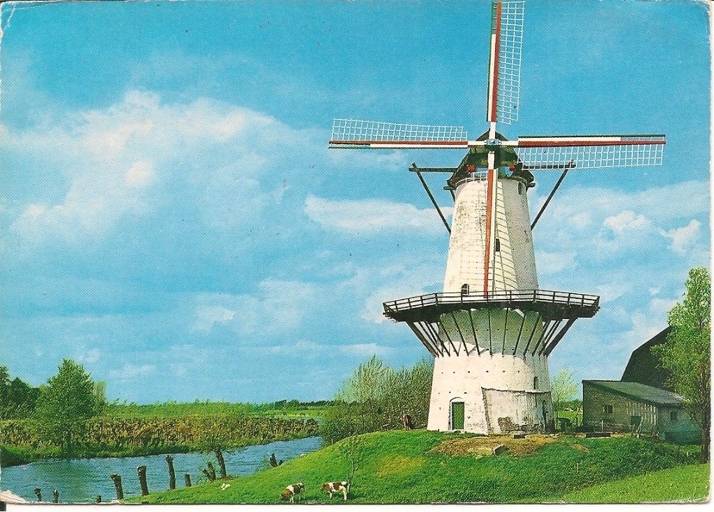Ansichtkaart De Vlinder, Deil - Korenmolen uit 1913, Ophalen of Verzenden, 1960 tot 1980, Ongelopen, Gelderland