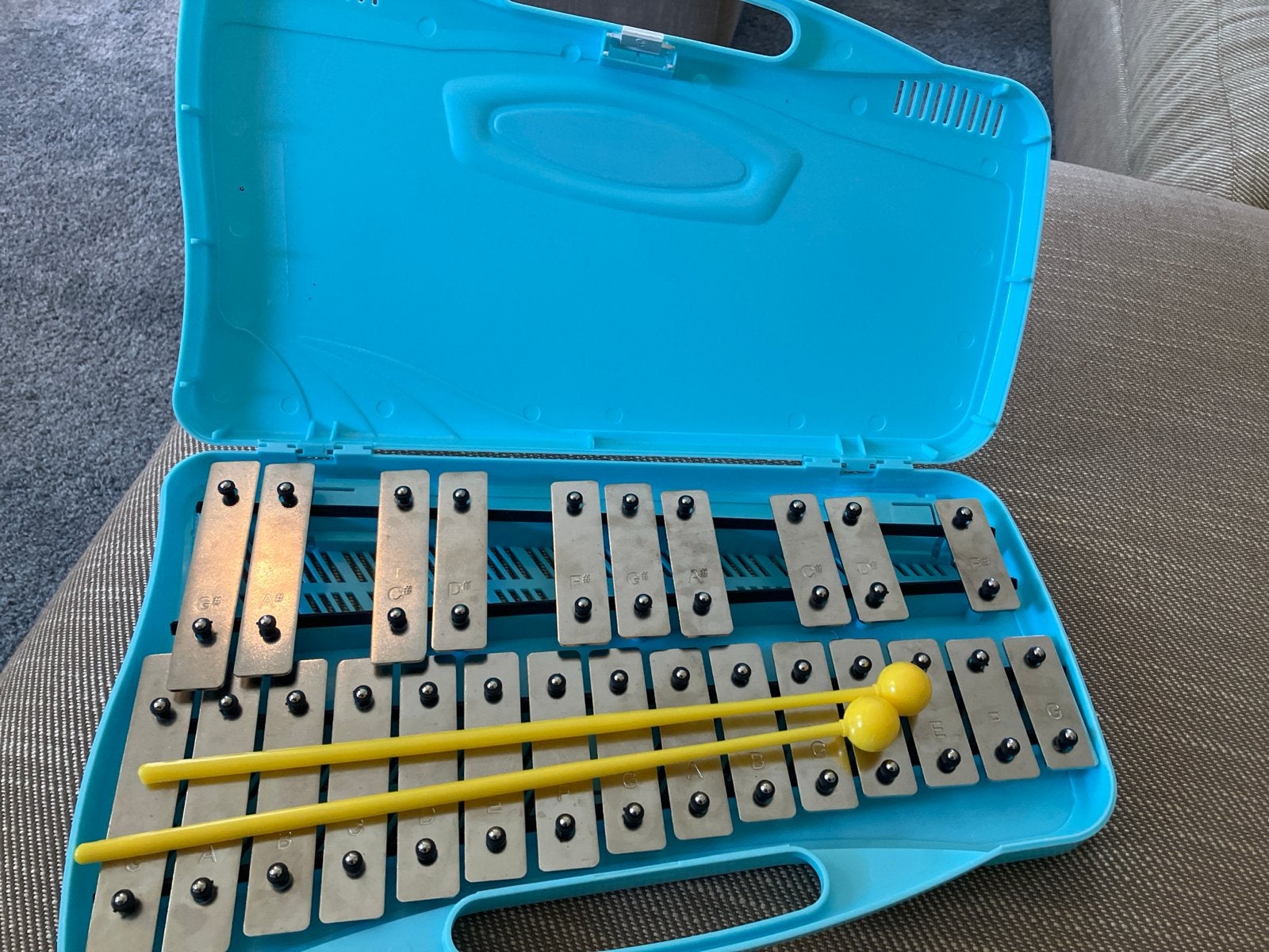 Glockenspiel 25 noten met koffer, Ophalen, Zo goed als nieuw, Overige soorten, Met koffer of draagtas