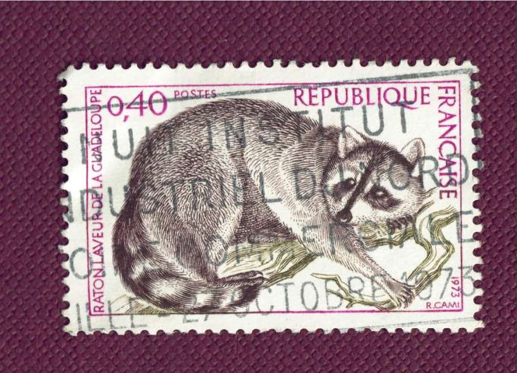Fauna - Dieren - Wasbeer - Frankrijk - gebr, Ophalen of Verzenden, Gestempeld, Dier of Natuur