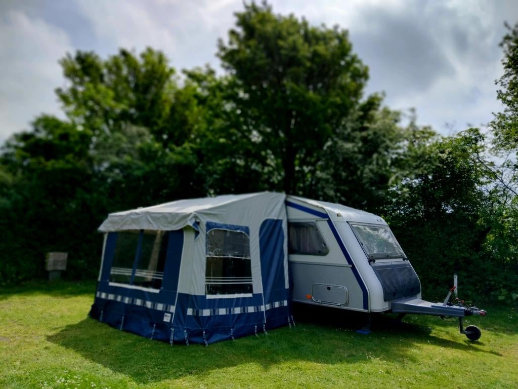 KIP GREYLINE  EKL 41.    Bieden, Ringverwarming, Rondzit, Kip, 750 - 1000 kg