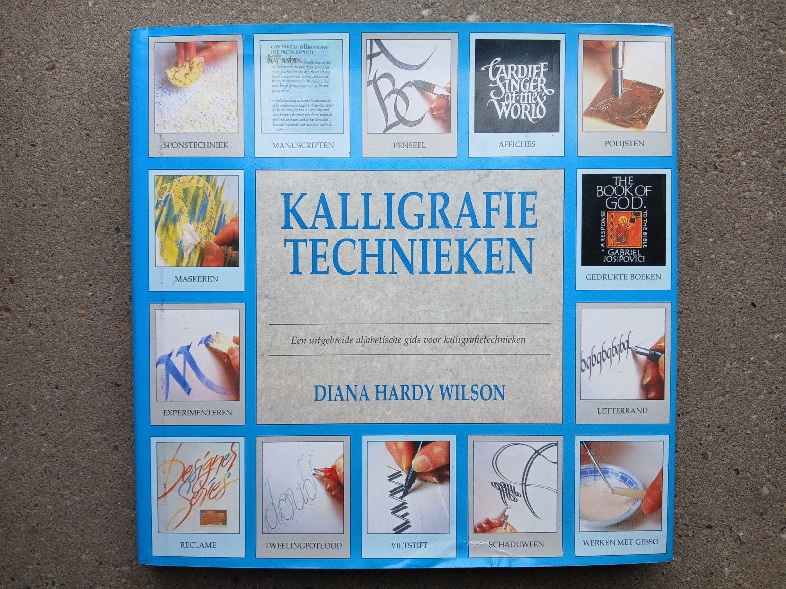 D. Hardy Wilson - Kalligrafie technieken, Ophalen, D. Hardy Wilson, Zo goed als nieuw, Overige onderwerpen
