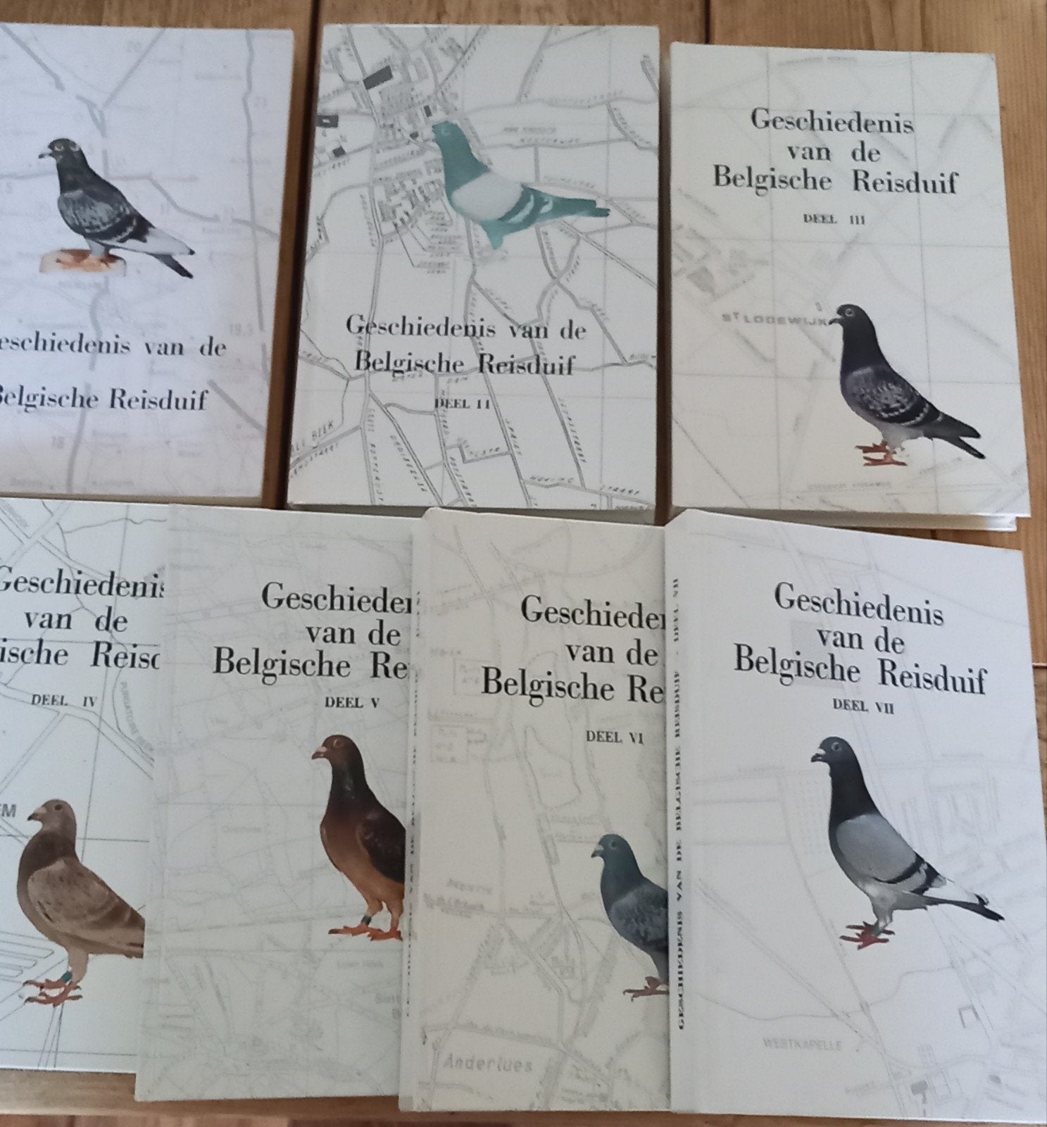 De Geschiedenis van de Belgische Reisduif, Dieren en Toebehoren, Mannelijk, Postduif