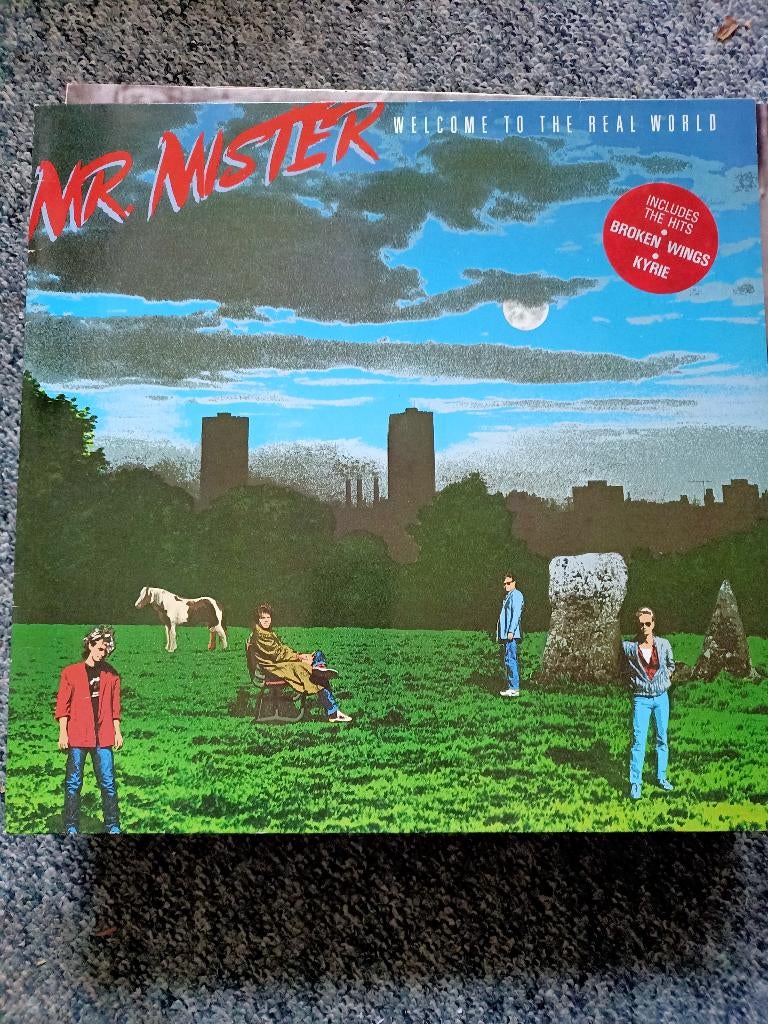 Diverse LP's en 12" Maxi Disco Singles te koop!, Ophalen, Zo goed als nieuw, 12 inch, Disco