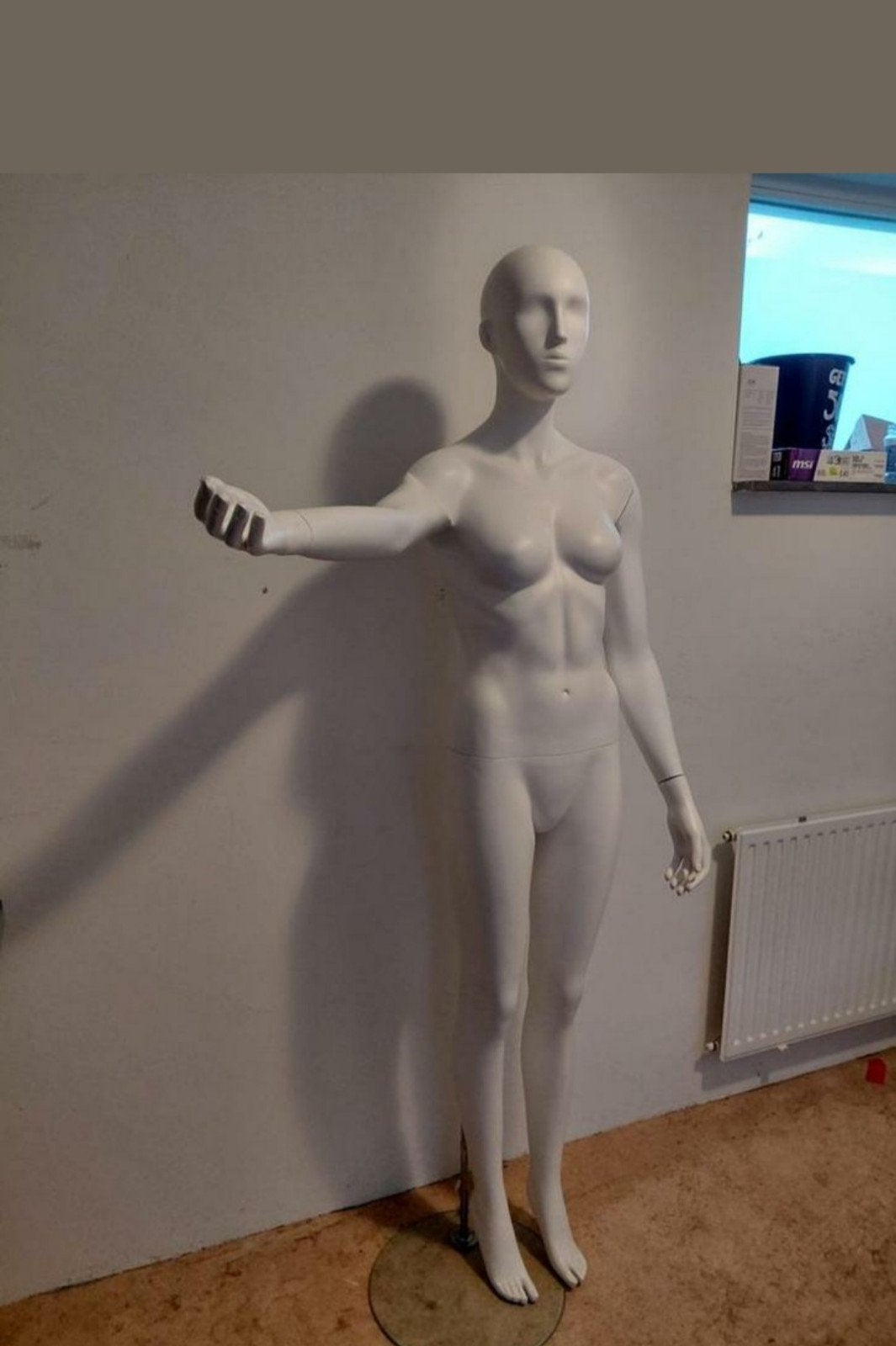mannequin/ etalagepoppen, Ophalen of Verzenden