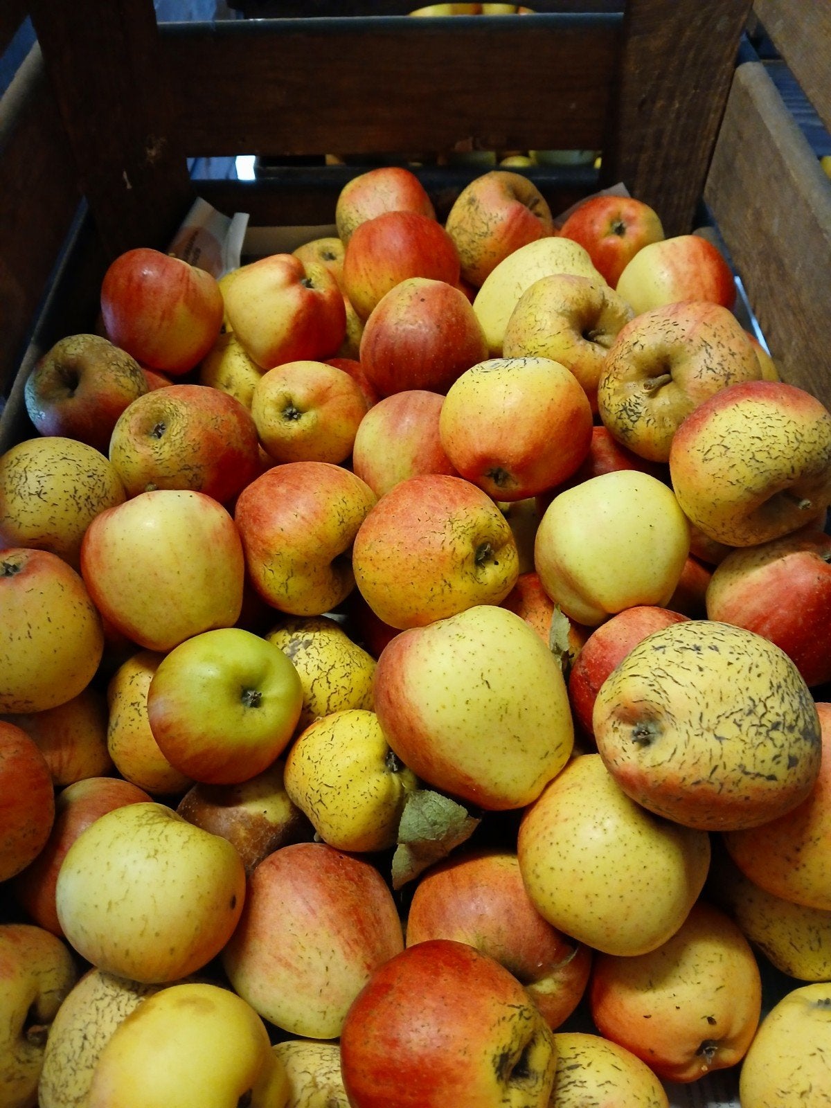 zoete appels, onbespoten, Zoete Ermgaard, Ophalen