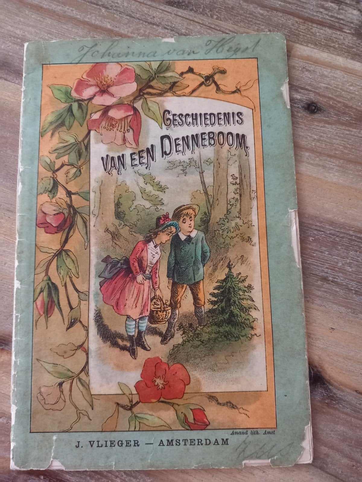 De Geschiedenis van een Denneboom - J. Vlieger Amsterdam, Boeken, Ophalen of Verzenden, Gelezen, Onbekend, Non-fictie