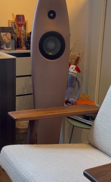 Vivid Audio Kaya 25, Zo goed als nieuw, 120 watt of meer, Front, Rear of Stereo speakers, Ophalen