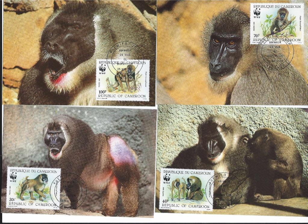 maxikaarten wwf wnf Cameroun Mandrill bedreigde diersoort, Postzegels en Munten, Postzegels | Volle albums en Verzamelingen, Ophalen of Verzenden