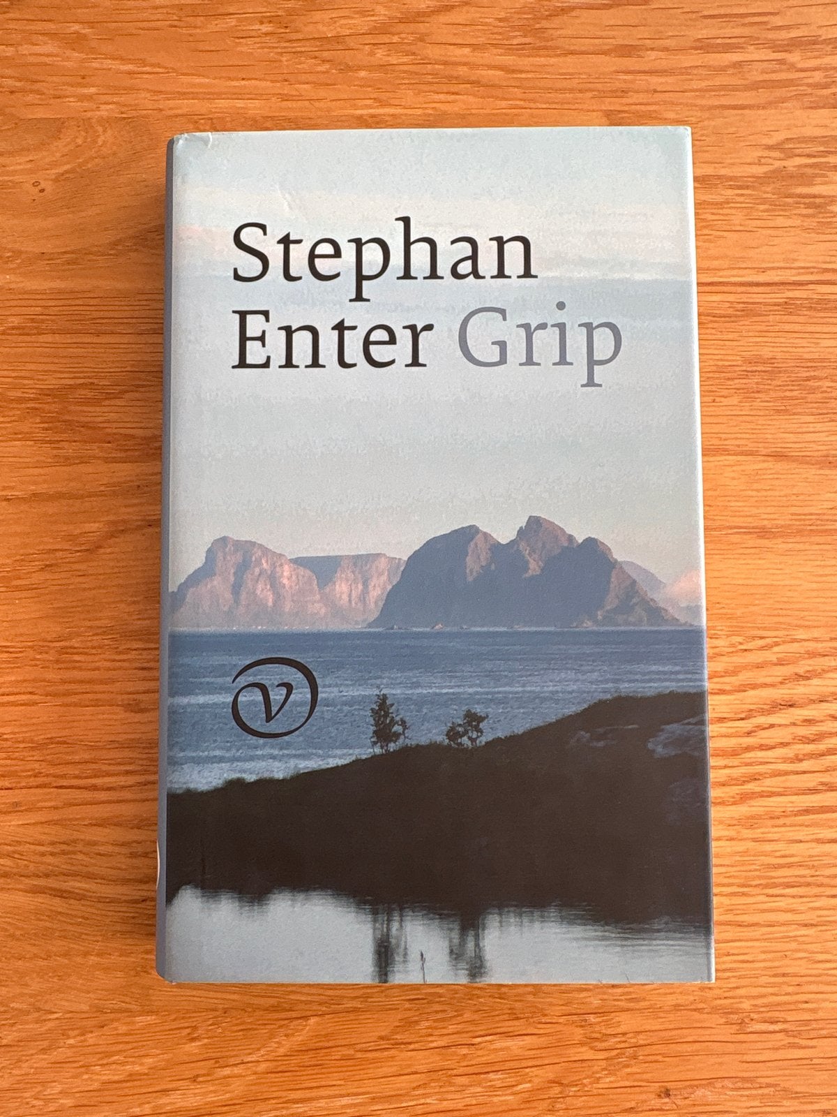 Stephan Enter - Grip (Hardcover), Boeken, Literatuur, Zo goed als nieuw, Nederland, Ophalen of Verzenden