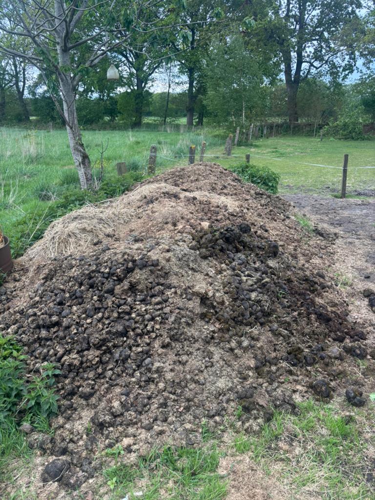 Gratis paardenmest, Tuin en Terras, Aarde en Mest, Ophalen, Tuinaarde