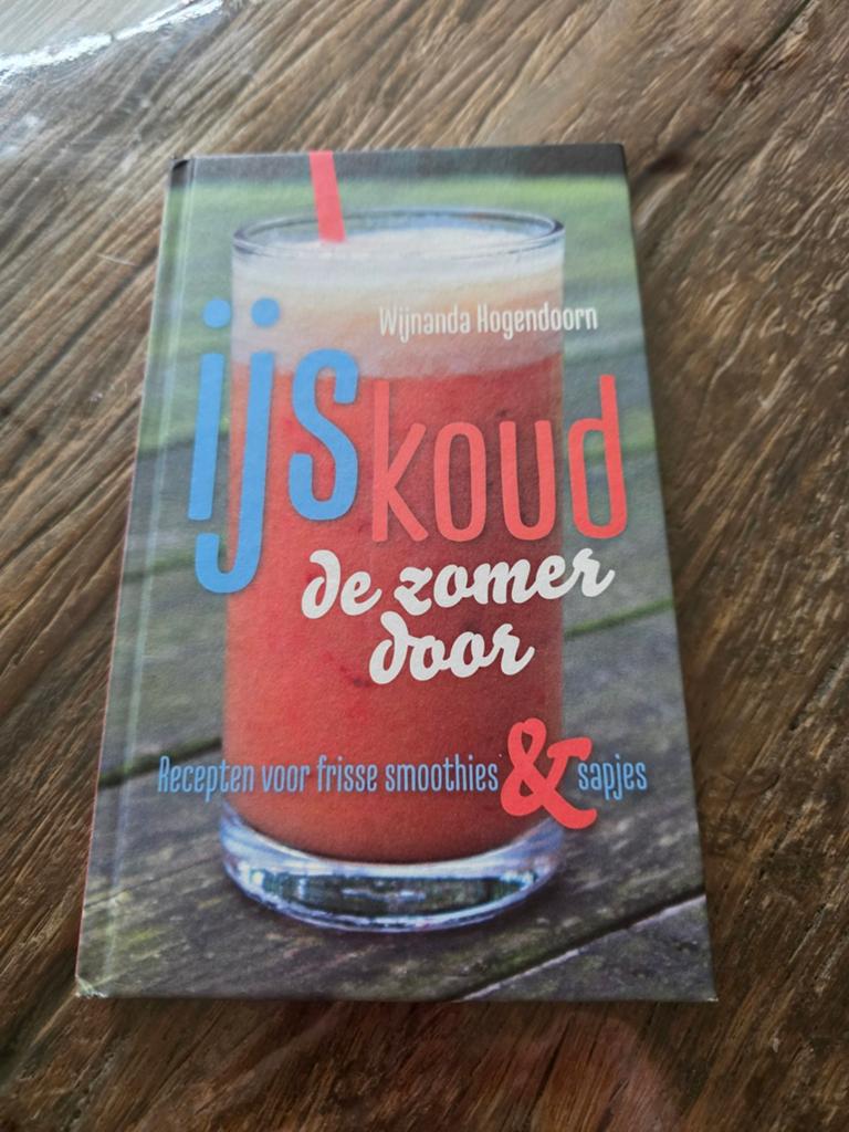 Wijnanda Hogendoorn - IJskoud de zomer door, Ophalen of Verzenden, Zo goed als nieuw, Wijnanda Hogendoorn