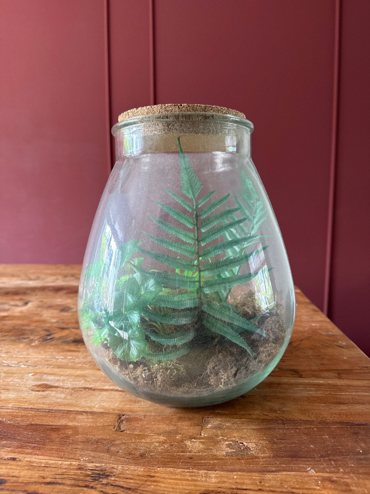 Glazen stolp met diverse nepplanten, Ophalen, Binnen, Kunstplant, Glas