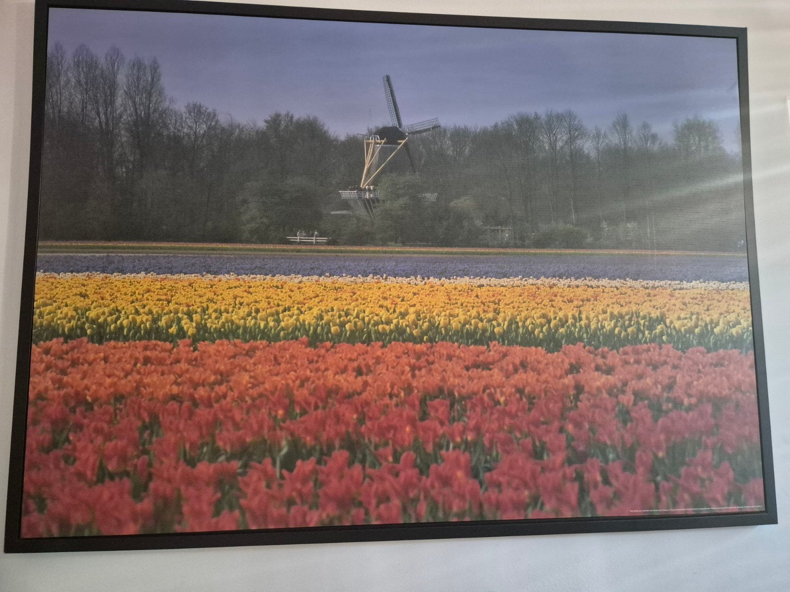 Grote ingelijste foto/poster/schilderij (IKEA), Huis en Inrichting, Woonaccessoires | Schilderijen, Tekeningen en Foto's, Ophalen