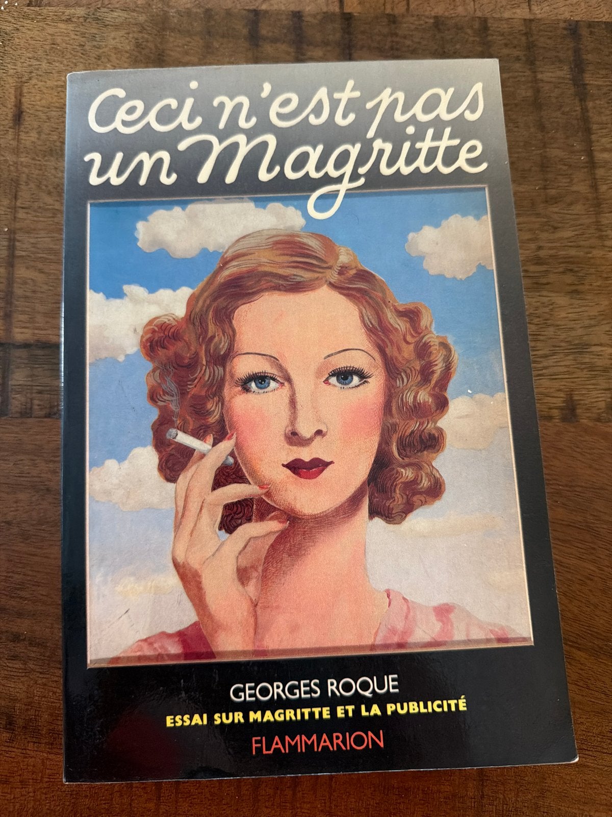 Ceci n'est pas un Magritte - Georges Roque, Ophalen of Verzenden, Zo goed als nieuw, Schilder- en Tekenkunst