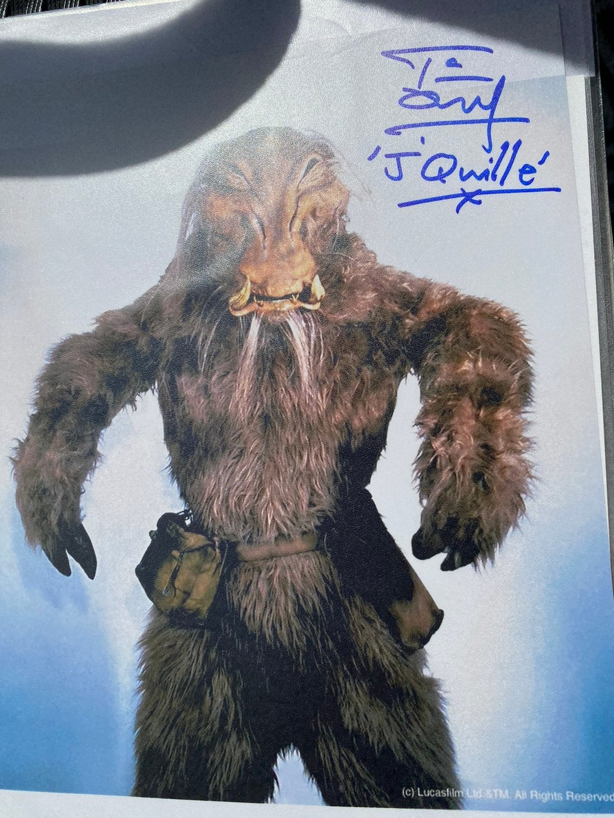 Filmster handtekening tim dry, Ophalen of Verzenden, Zo goed als nieuw, Actiefiguurtje