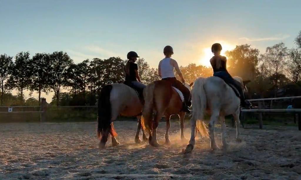 Lieve pony te lease, Verzorging of Verzorgpony's