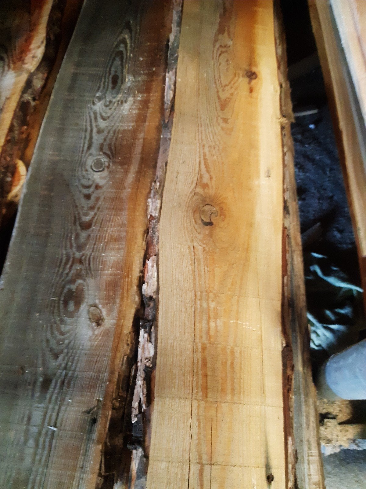 Partij z.g.a.n.Douglas naturel schaaldelen, Ophalen, Nieuw, 250 cm of meer, Planken