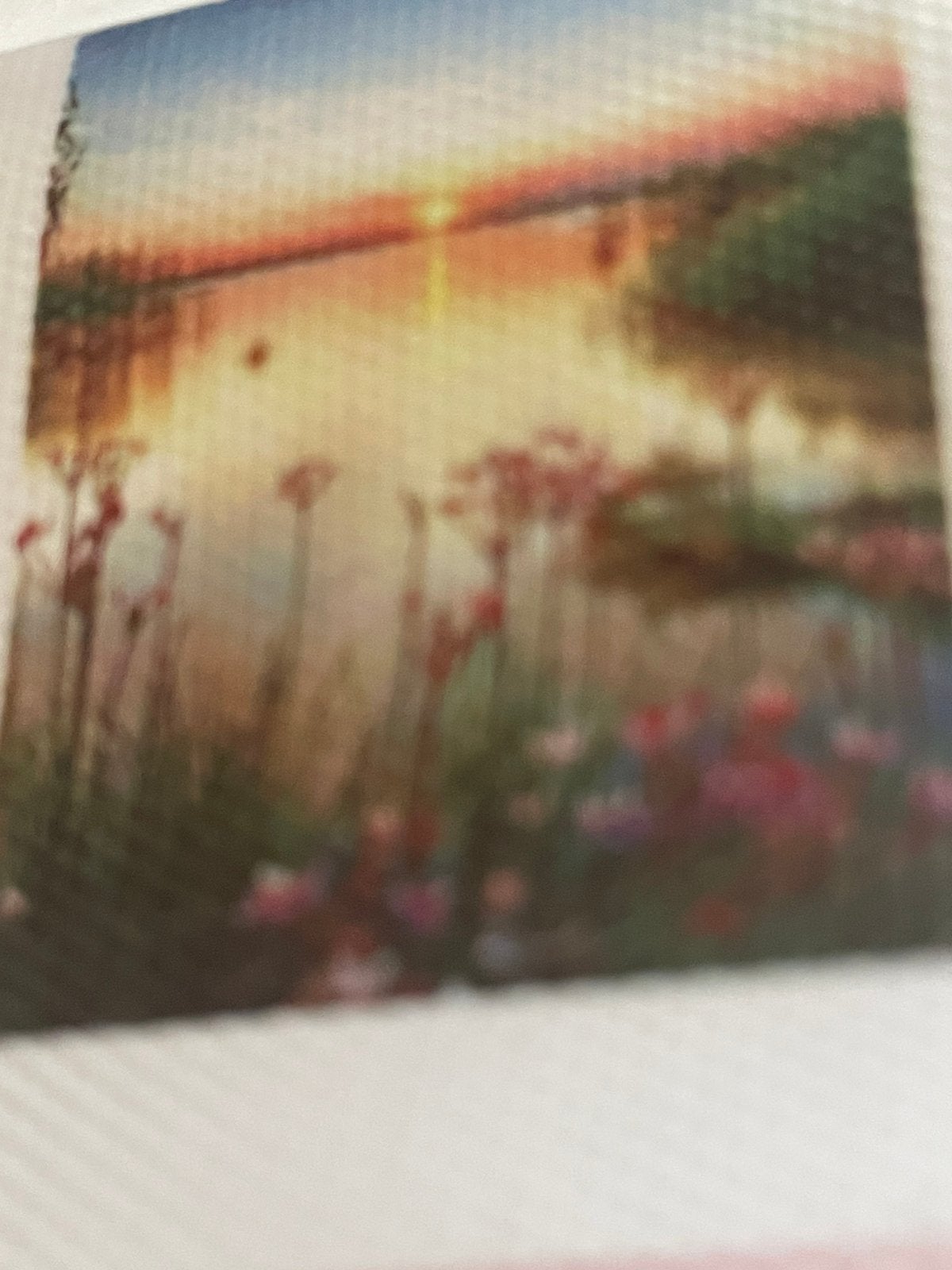 Diamond Painting, Ophalen of Verzenden, Zo goed als nieuw, Knutselwerk