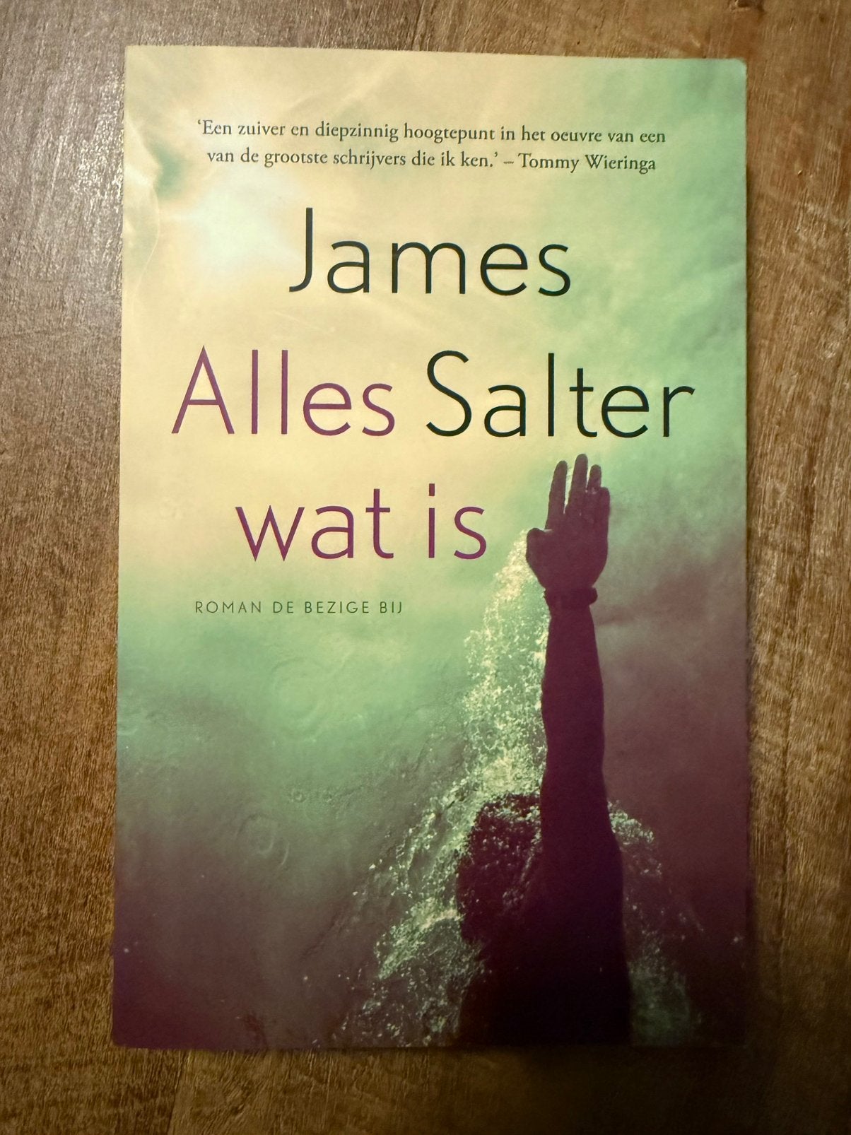 Alles wat is - James Salter, Ophalen of Verzenden, Zo goed als nieuw
