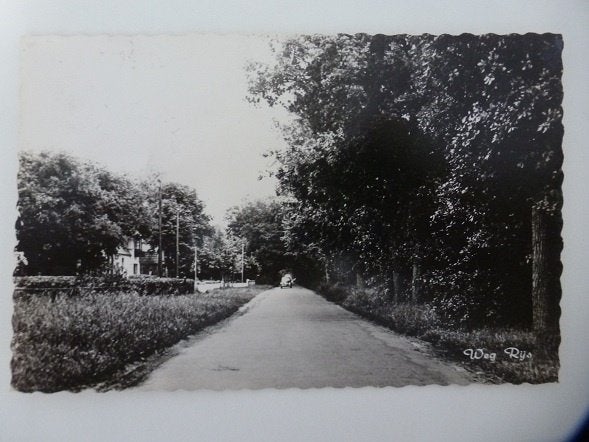 RIJS Hotel Gaasterland BALK Hotel Teernstra de Jong en Zonen, Ophalen, 1940 tot 1960, Gelopen, Friesland
