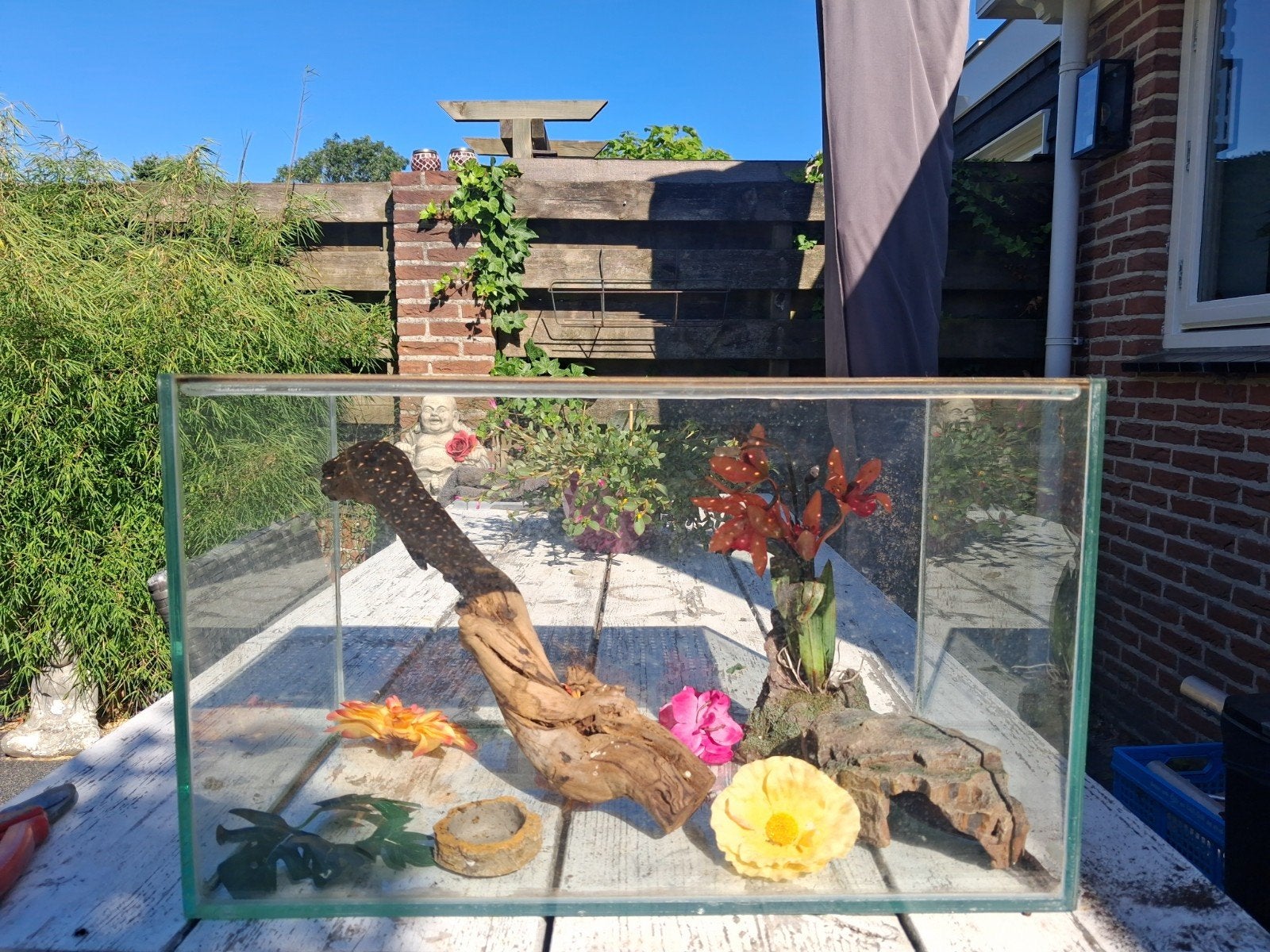 4 terraria, Ophalen, Zo goed als nieuw, Terrarium of Paludarium
