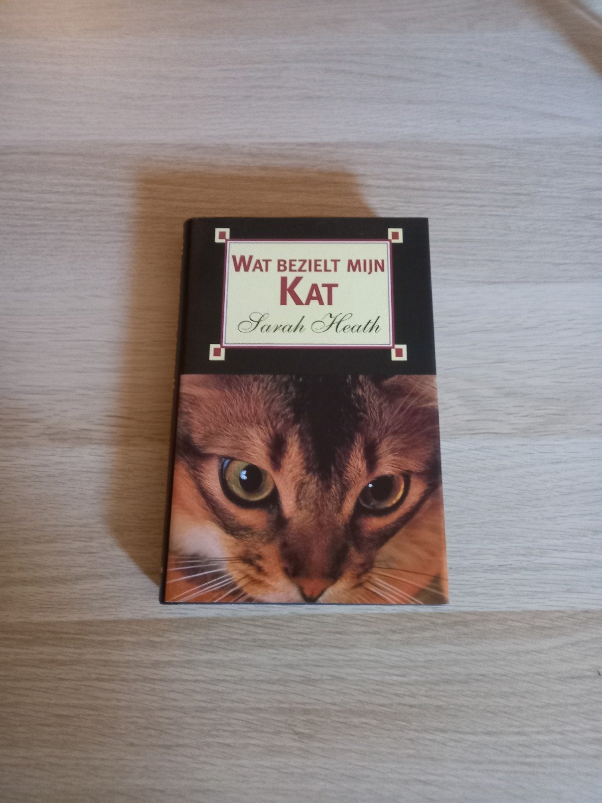 Wat Bezielt Mijn Kat - Sarah Heath (Boek), Boeken, Dieren en Huisdieren, Ophalen, Zo goed als nieuw, Katten, Sarah Heath