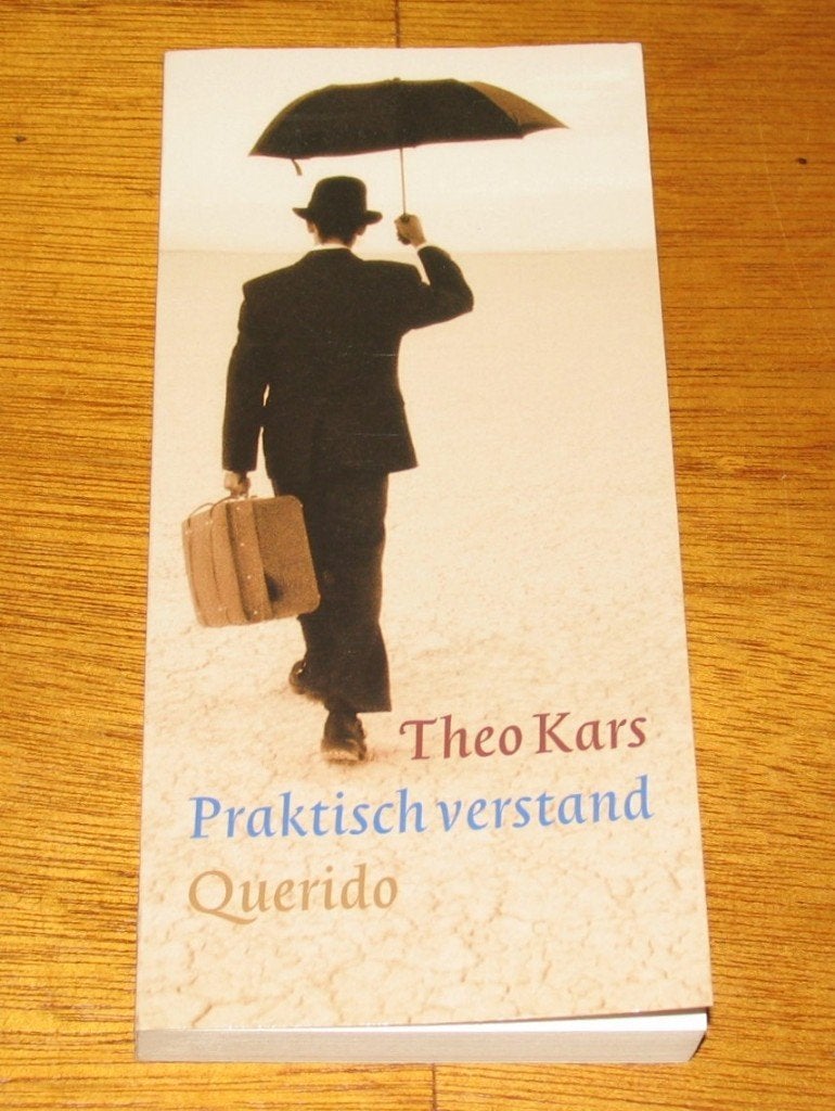 Theo Kars - Praktisch verstand, Boeken, Ophalen of Verzenden, Zo goed als nieuw