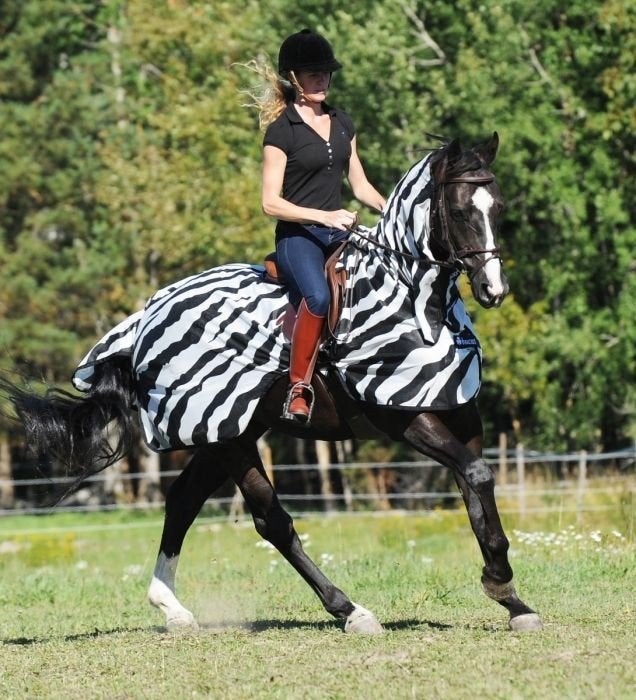 bucas buzz off riding maat L, Dieren en Toebehoren, Paarden en Pony's | Dekens en Dekjes, Ophalen of Verzenden