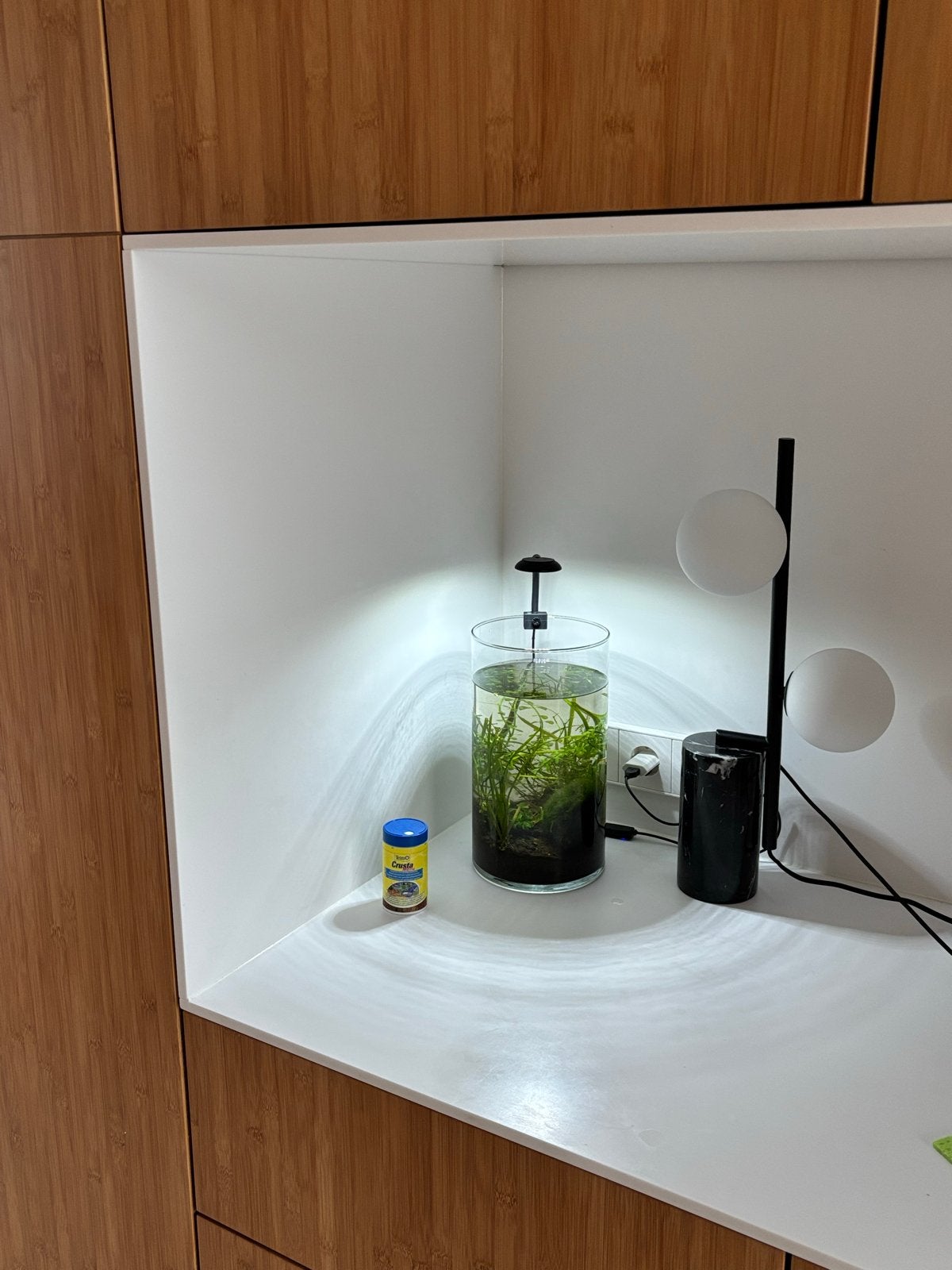 Mini aquarium met enkele mini japonica garnalen, Ophalen, Gebruikt, Gevuld zoetwateraquarium