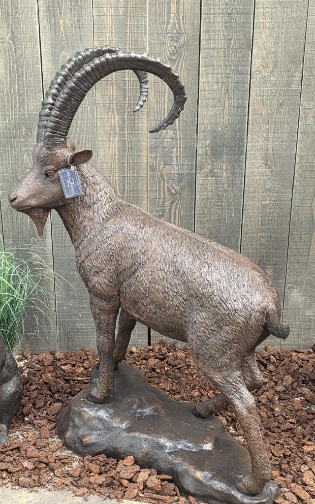 STEENBOK / bronzen beeld, Dierenbeeld, Nieuw, Info@huisentuindecoratiemarie.nl, Huis en tuin decoratie marie
