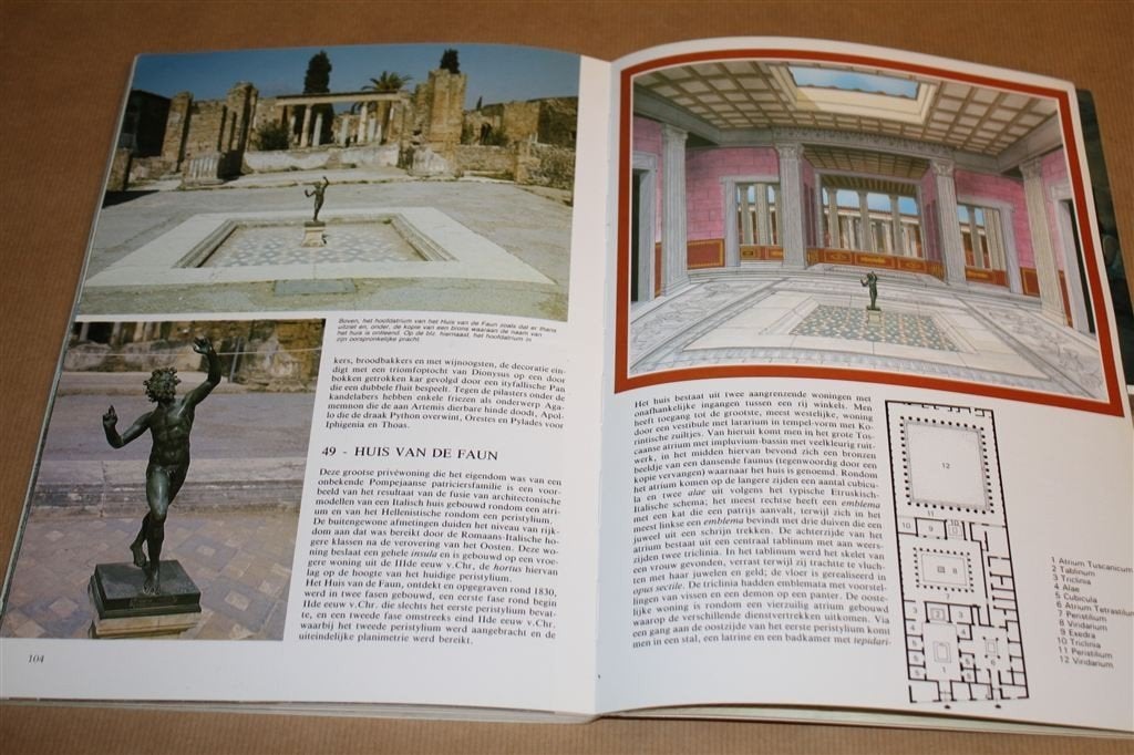 Kunst en geschiedenis van Pompeji. Reconstructies stad., Ophalen of Verzenden, Zo goed als nieuw, Europa