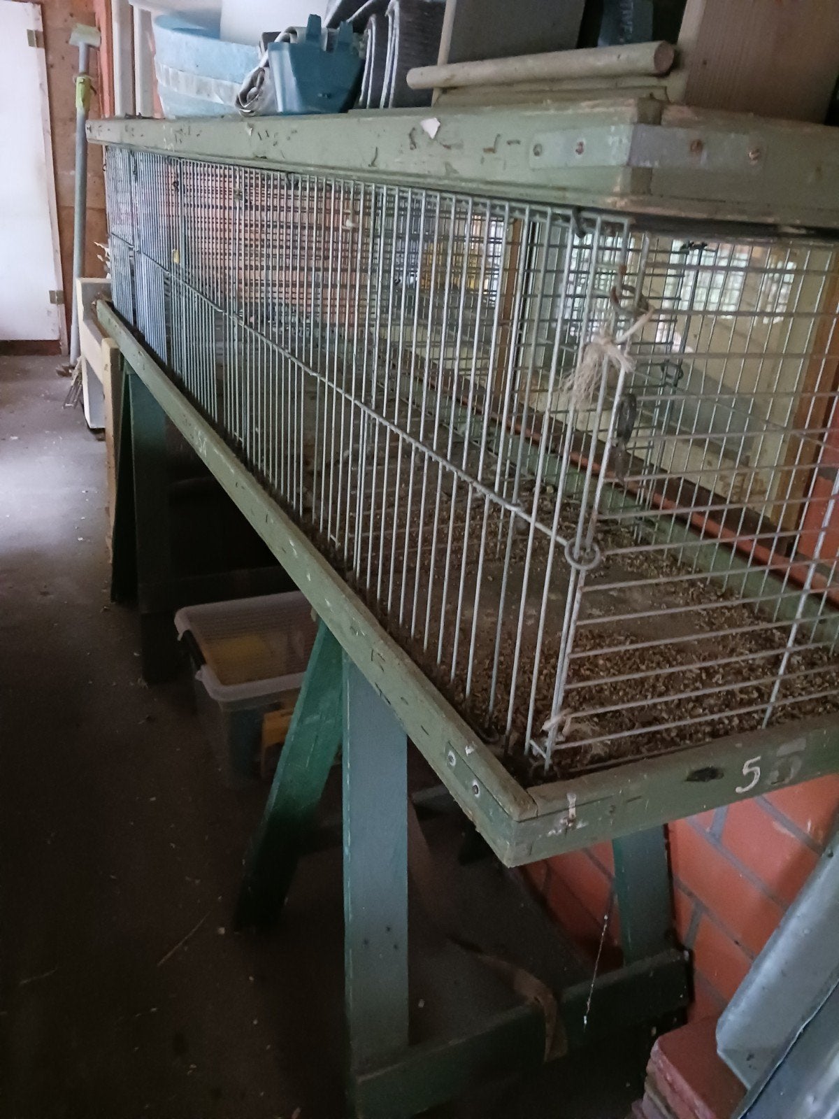 Pluimvee, Dieren en Toebehoren, Ophalen, Hout, Vogelkooi