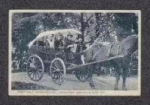 Gieten Drenthsche Boerenbruiloft 1920., Verzamelen, Ophalen of Verzenden, Voor 1920, Gelopen, Drenthe