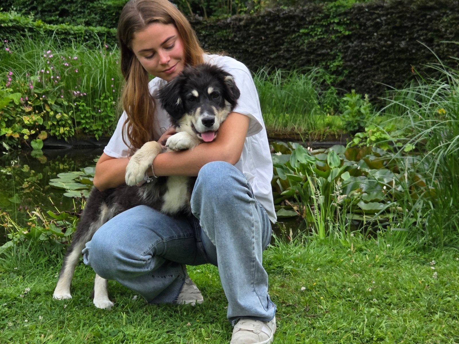 Teddy 5 mnd lieve trouwe pup leert snel stichting sphoek, Dieren en Toebehoren, Honden | Niet-rashonden, Parvo, Particulier, 15 weken tot 1 jaar